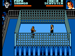 File:WWFWrestleManiaSteelCageChallengeSMSRing.png