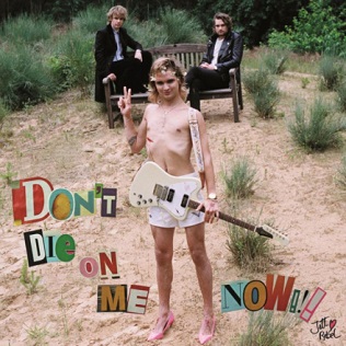 File:Cover art album Jett Rebel- Don't Die On Me Now.jpg