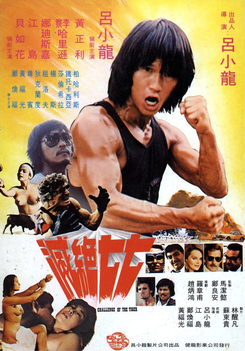 File:Challenge of the Tiger (1980) poster.jpg