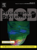 File:Mechanisms of Development.gif