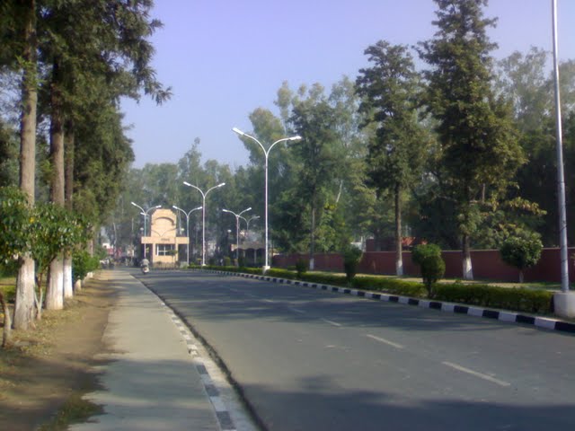 File:KU Gate No 2.jpg
