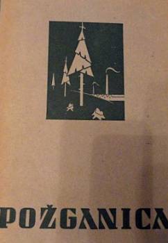 File:Pozganica book cover.jpg