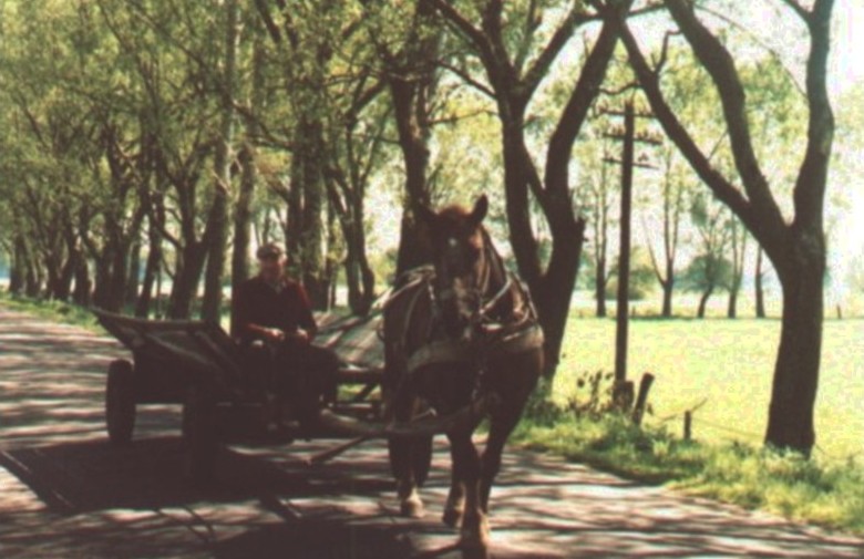File:Kurpie wt 06.jpg