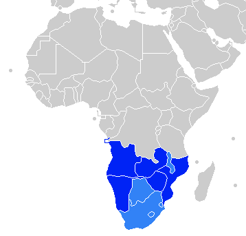 File:1998 COSAFA Cup.png