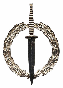 File:SASF Operator Badge.png