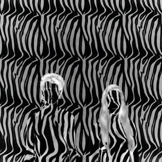 File:Beach House Zebra Artwork.jpg