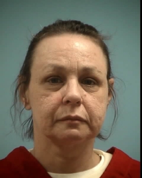 File:Lisa Jo Chamberlin.jpg