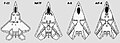 Thumbnail for version as of 00:03, 19 September 2024