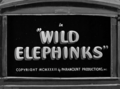 Thumbnail for version as of 00:05, 15 March 2020