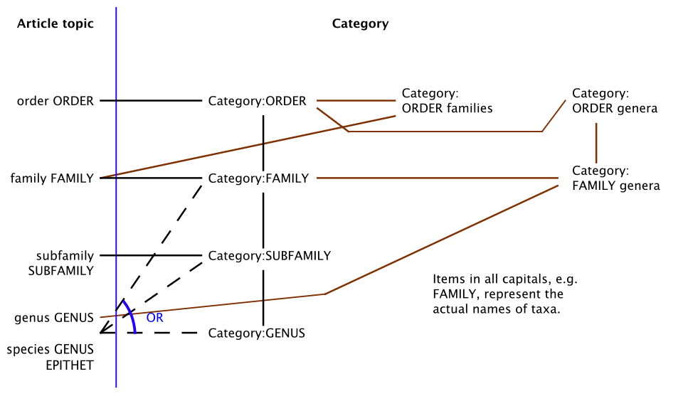 File:Plant categorization actual.svg
