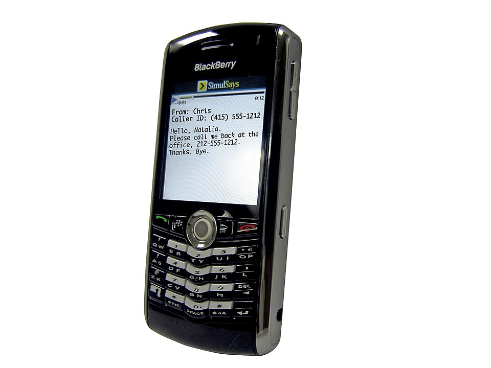 File:Simulsays.jpg