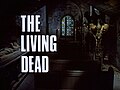 Thumbnail for version as of 13:05, 13 February 2019