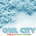 Thumbnail for version as of 08:32, 18 December 2010