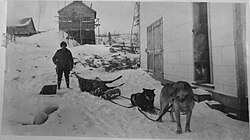 Man with Stag on dog sled, Warehouse, Sanshaw Gold Mine, 1938