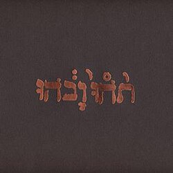 A brown digipack cover to a Compact Disc with gold foil reading "תֹהוּ וָבֹהוּ".