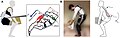 Thumbnail for version as of 15:56, 10 April 2025