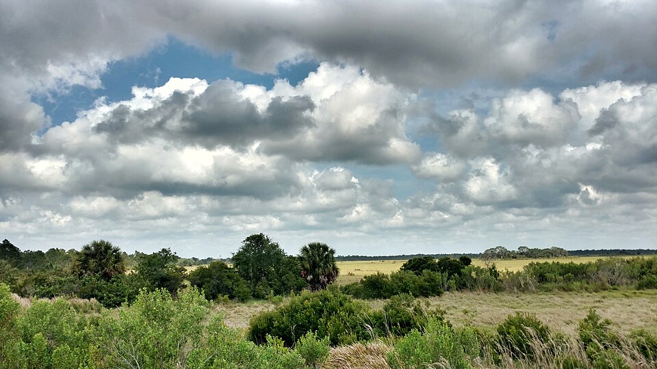File:Future Spring Training Complex Site.jpeg