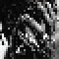 Thumbnail for version as of 00:00, 12 October 2025