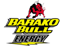 Barako Bull Energy logo