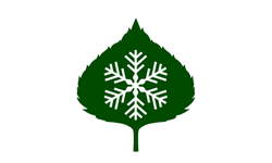 Flag of Aspen, Colorado