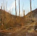 Thumbnail for version as of 20:45, 26 November 2022