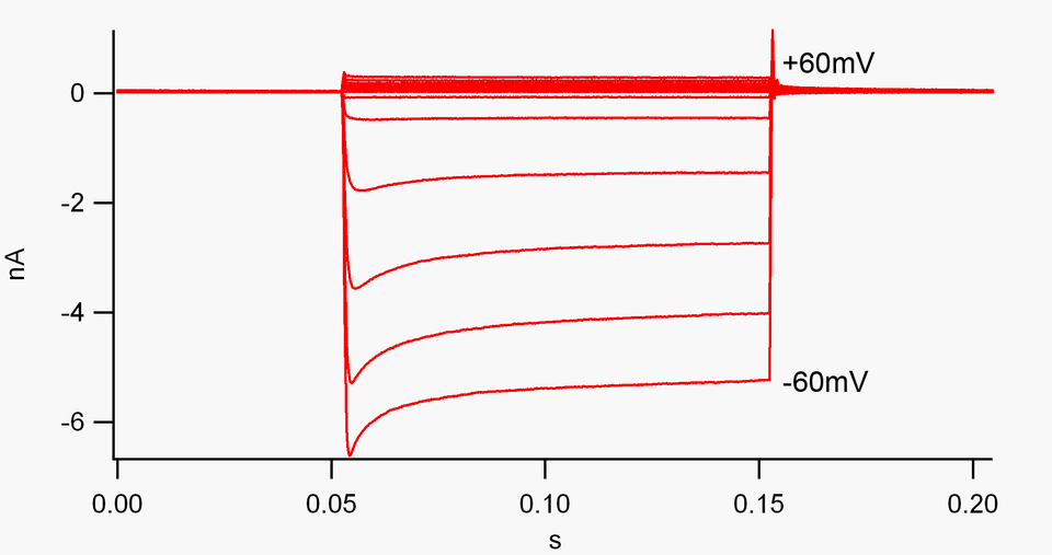File:Inward-rectification.png