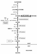 Thumbnail for version as of 09:34, 29 October 2009