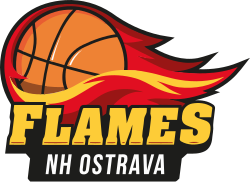 File:Logo of Flames Ostrava.svg