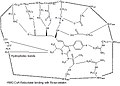 Thumbnail for version as of 16:34, 8 November 2007