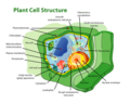 Thumbnail for version as of 21:40, 26 May 2006