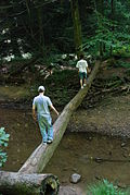 Thumbnail for version as of 20:53, 25 March 2008