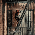 Thumbnail for version as of 21:41, 5 June 2019