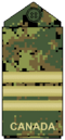 Thumbnail for version as of 16:22, 19 March 2008