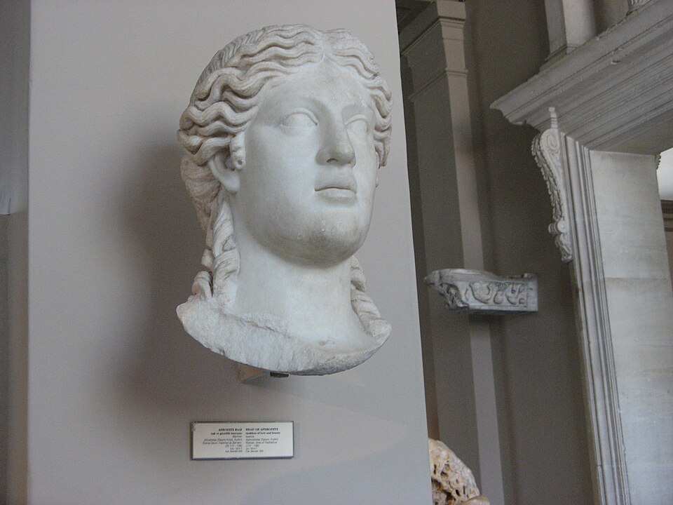 File:Head of aphrodite.JPG