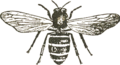 Thumbnail for version as of 19:28, 28 May 2022