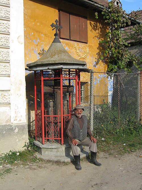File:Niculae2.jpg