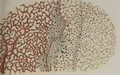 Thumbnail for version as of 19:23, 26 September 2022