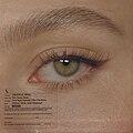 Thumbnail for version as of 06:14, 5 November 2025